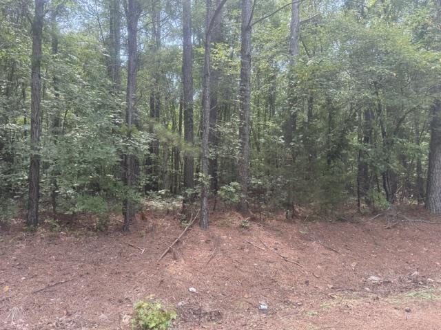 4 Hardin Graveyard Road Enville, TN 38332 - Photo 7 of 29