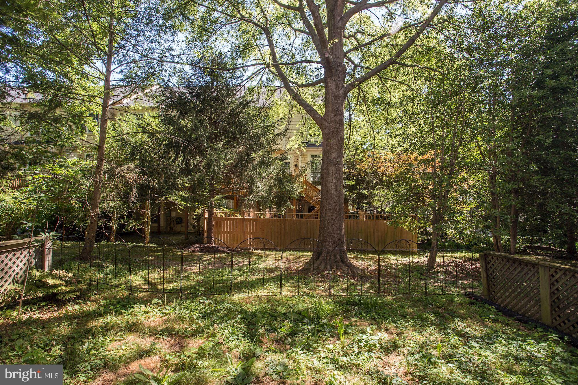 5924 Halpine Road Rockville, MD 20851 - Photo 38 of 38 Gallery Image 38