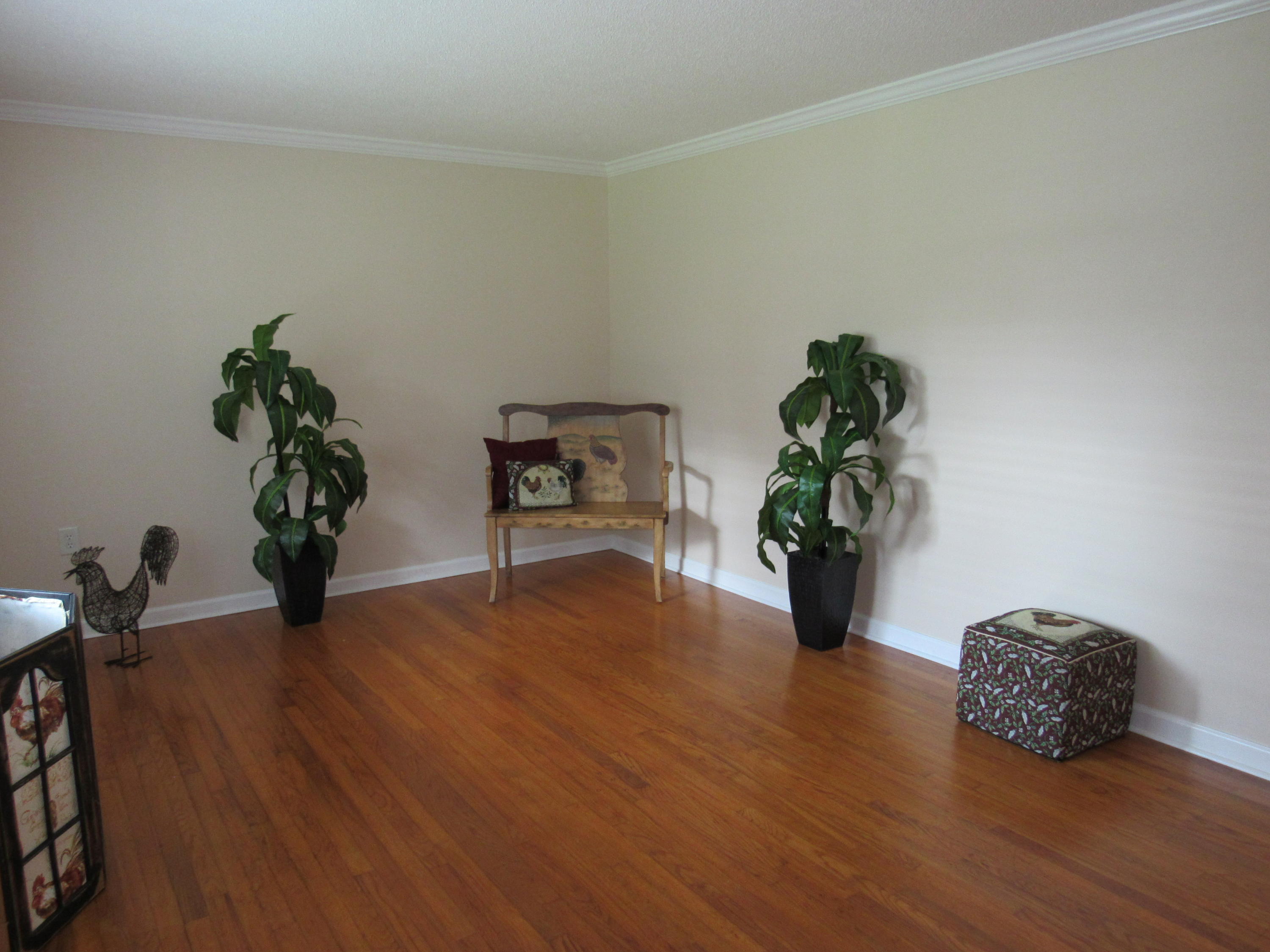 111 County Rd S-18-513 Ladson, SC 29456 - Photo 3 of 36 IMG_1669