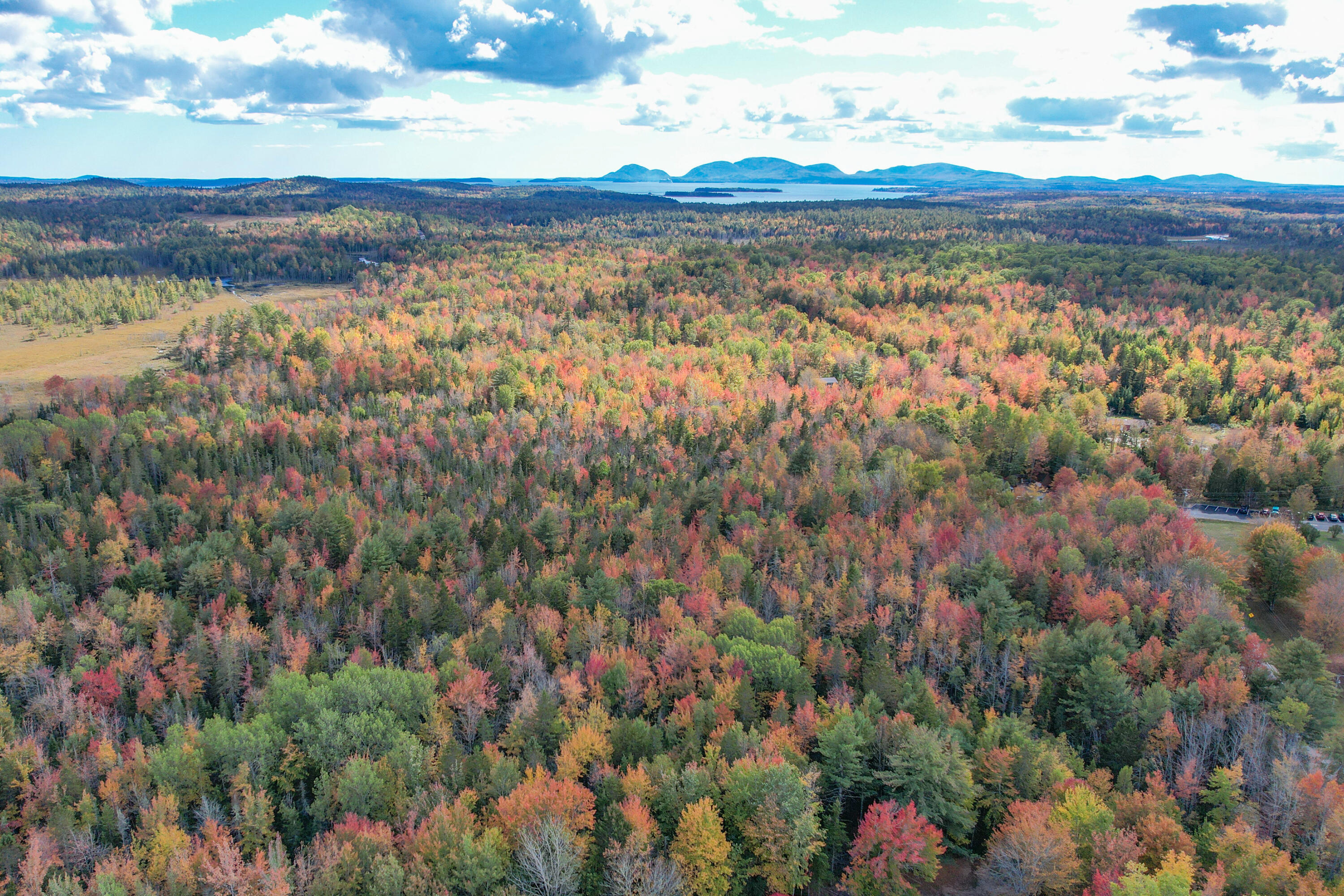 535 Bert Gray Road Sullivan, ME 04664 - Photo 13 of 14 DJI_0139