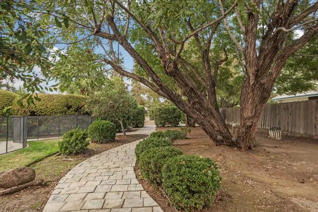 a view of a park with tree s