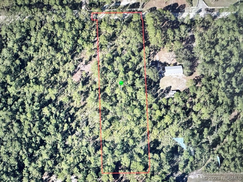 0 Budd Road New Smyrna Beach, FL 32168 - Photo 1 of 3 a view of a tree