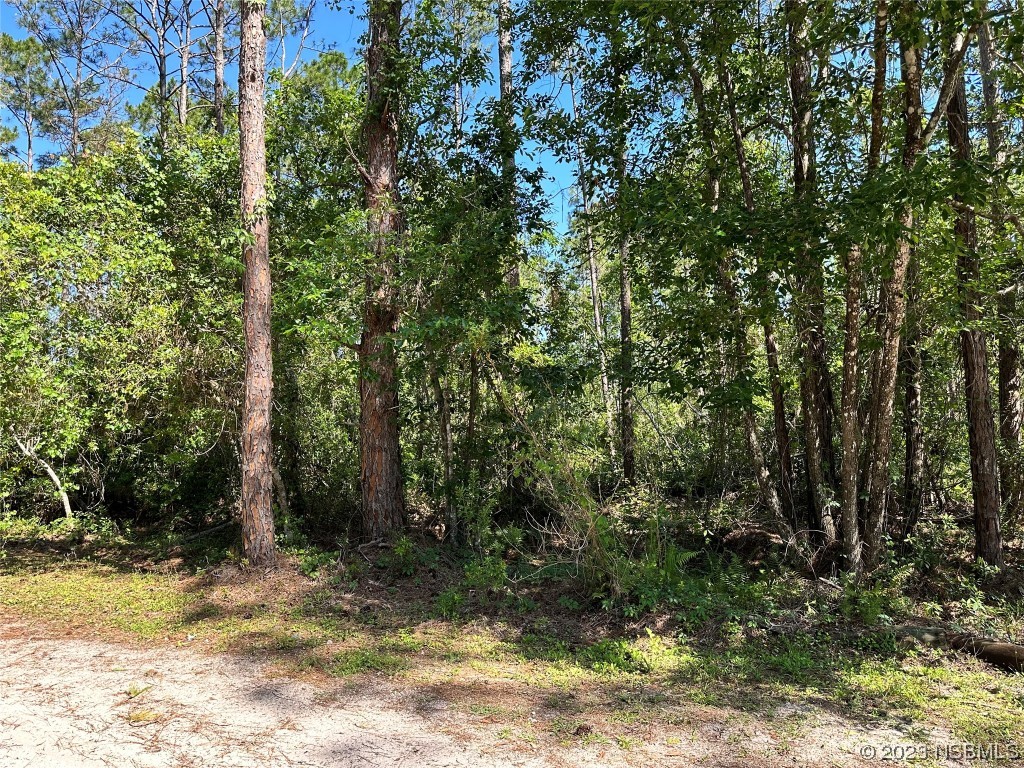 0 Budd Road New Smyrna Beach, FL 32168 - Photo 2 of 3 a view of a yard with trees