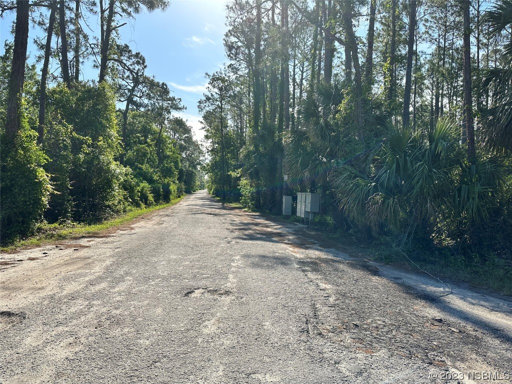 0 Budd Road New Smyrna Beach, FL 32168 - Photo 3 of 3 a view of a yard with trees