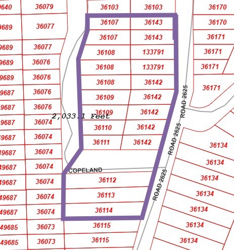 Boundary Drawn on Liberty County CAD