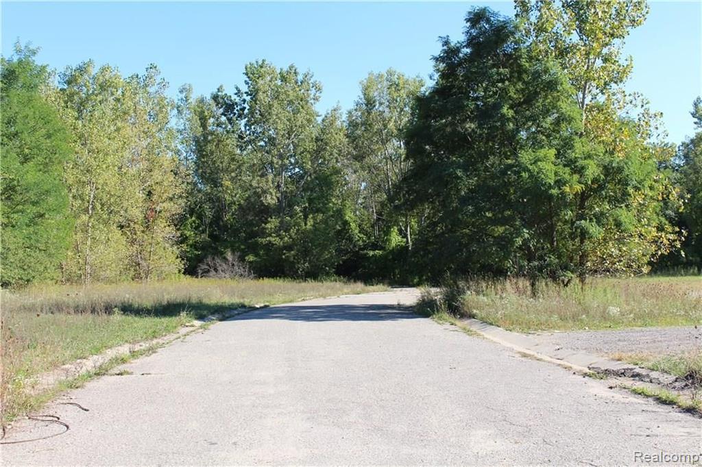 Vacant Fernhurst Road Lake Orion, MI 48362 - Photo 4 of 6 Gallery Image 4
