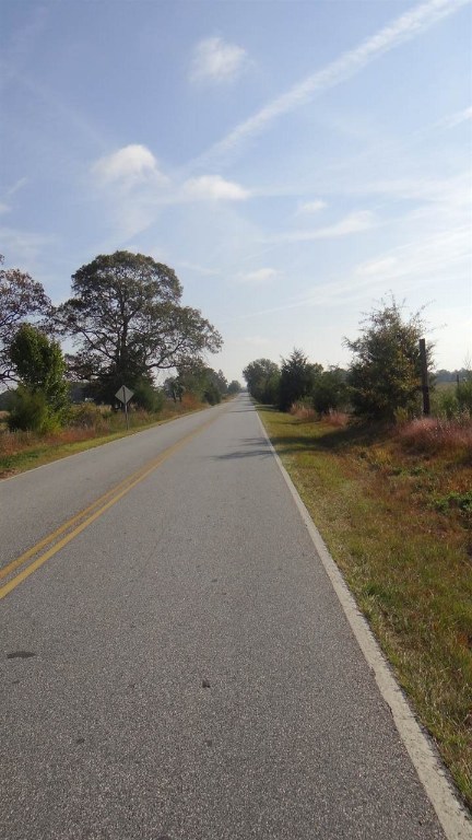 Country Meadows Road Anderson, SC 29626 - Photo 4 of 4