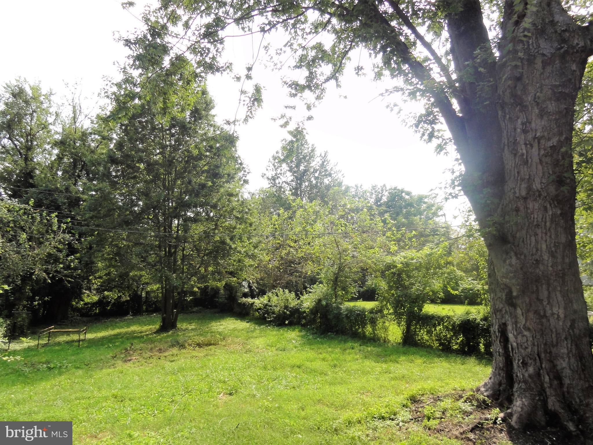 617 Tunbridge Road Baltimore, MD 21212 - Photo 20 of 20 Huge Backyard - With Tree Shade