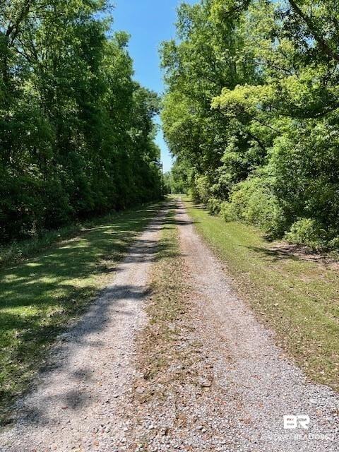 23141 Hill Road Silverhill, AL 36576 - Photo 3 of 7 Drone / aerial view