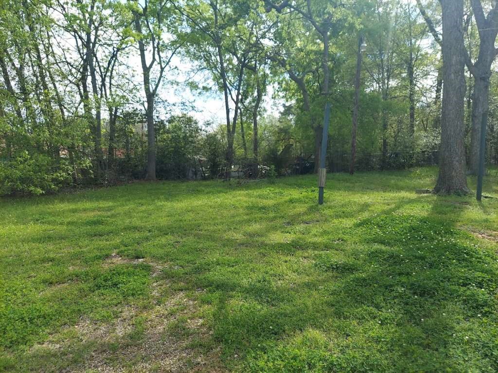 110 Acorn Street Marshall, TX 75670 - Photo 12 of 12 a view of a lush green space