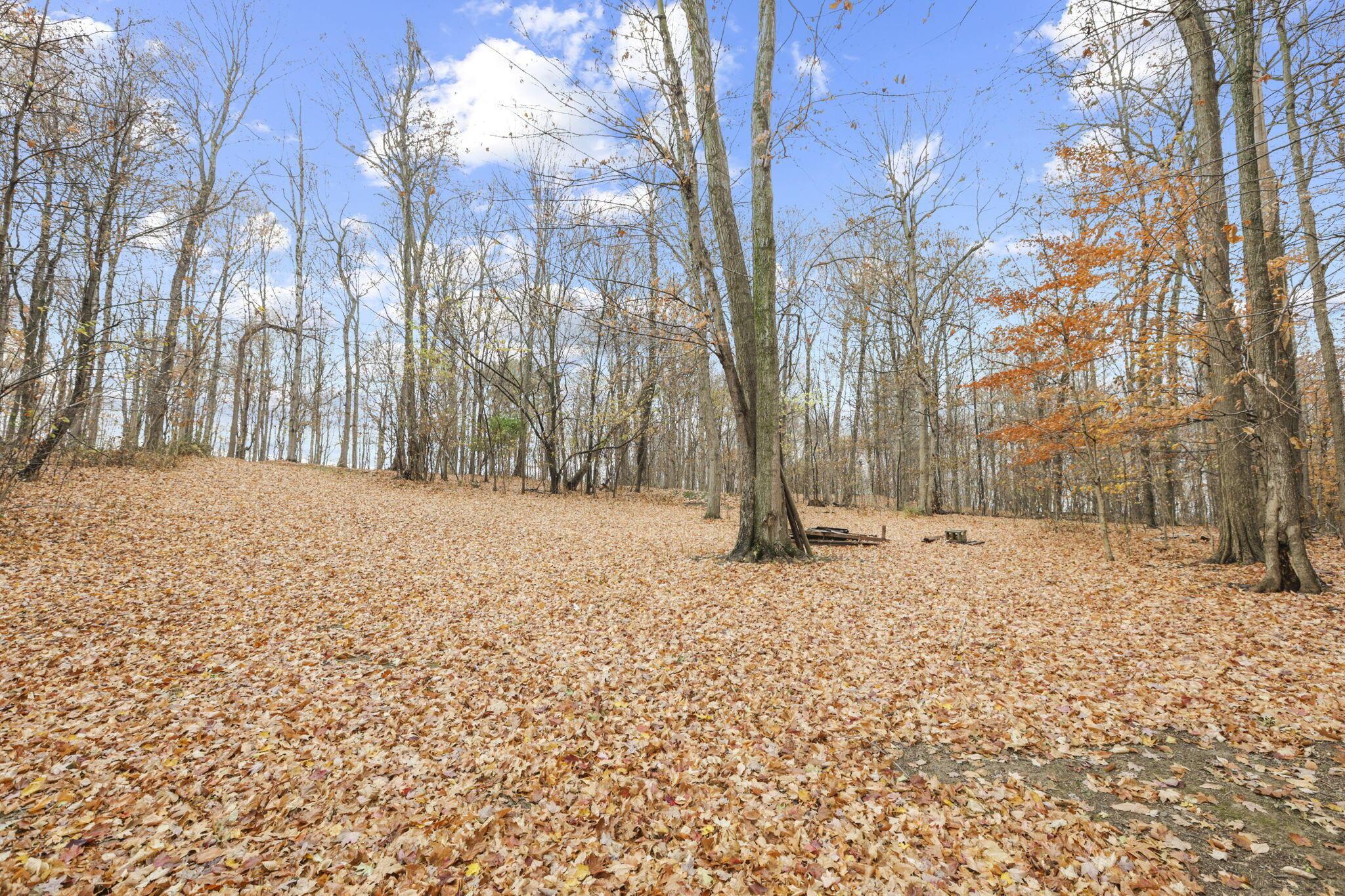 12995 North Pike Road Mount Perry, OH 43760 - Photo 37 of 47 46-web-or-mls-939A5929