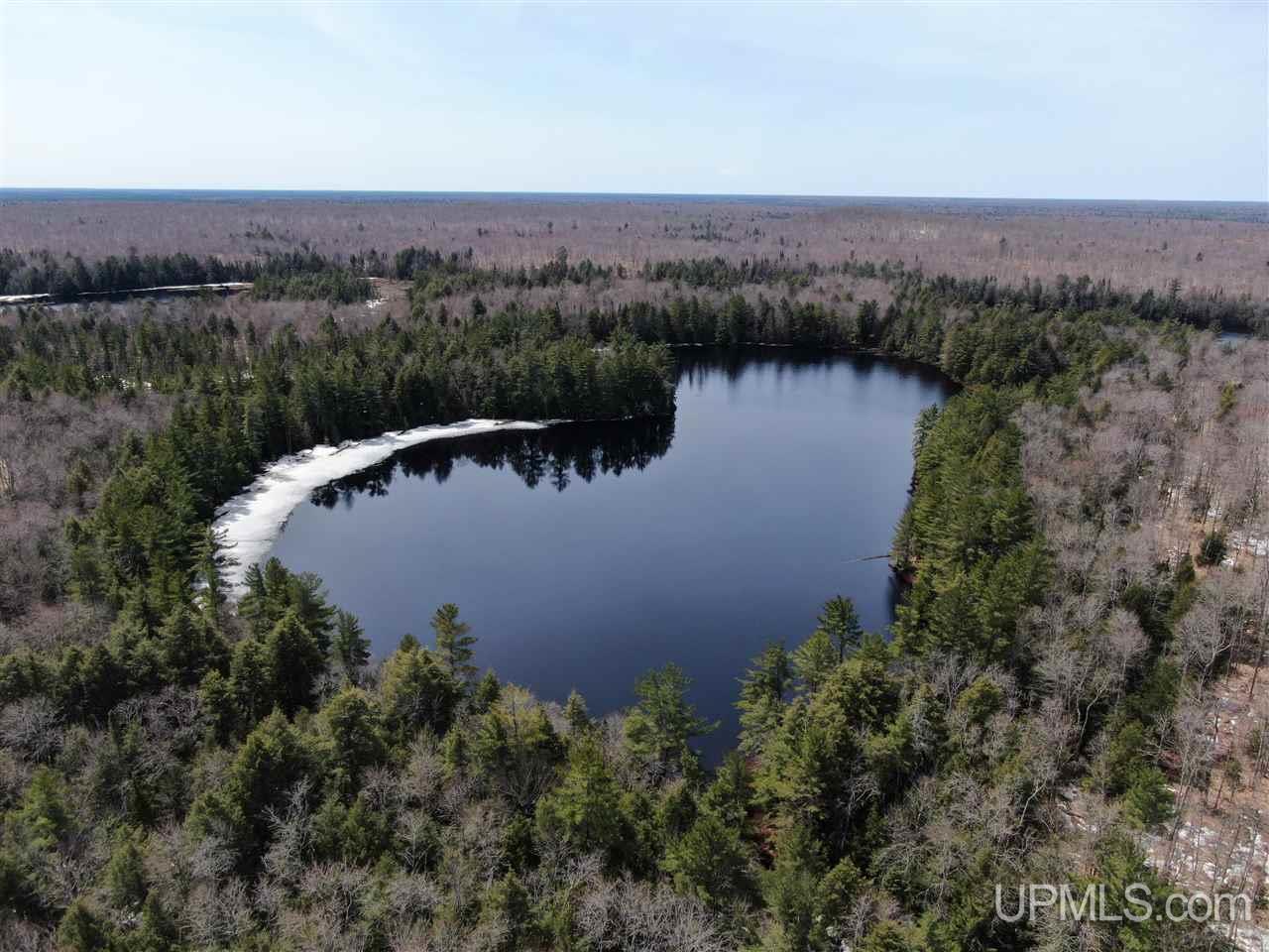 0 Old Seney Road Seney, MI 49883 - Photo 2 of 31