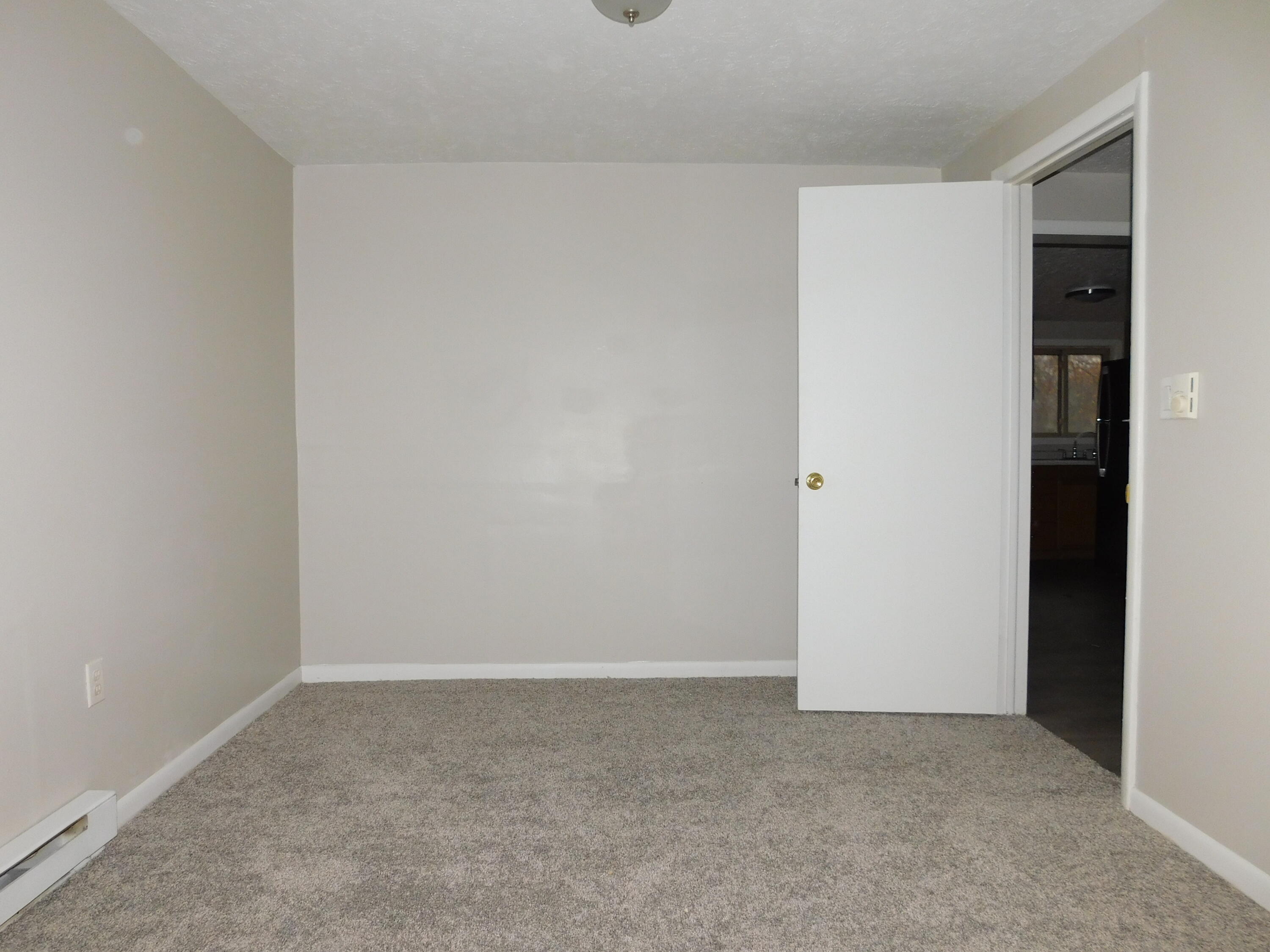 4720 Belding Road Belding, MI 48809 - Photo 10 of 26 DSCN7951