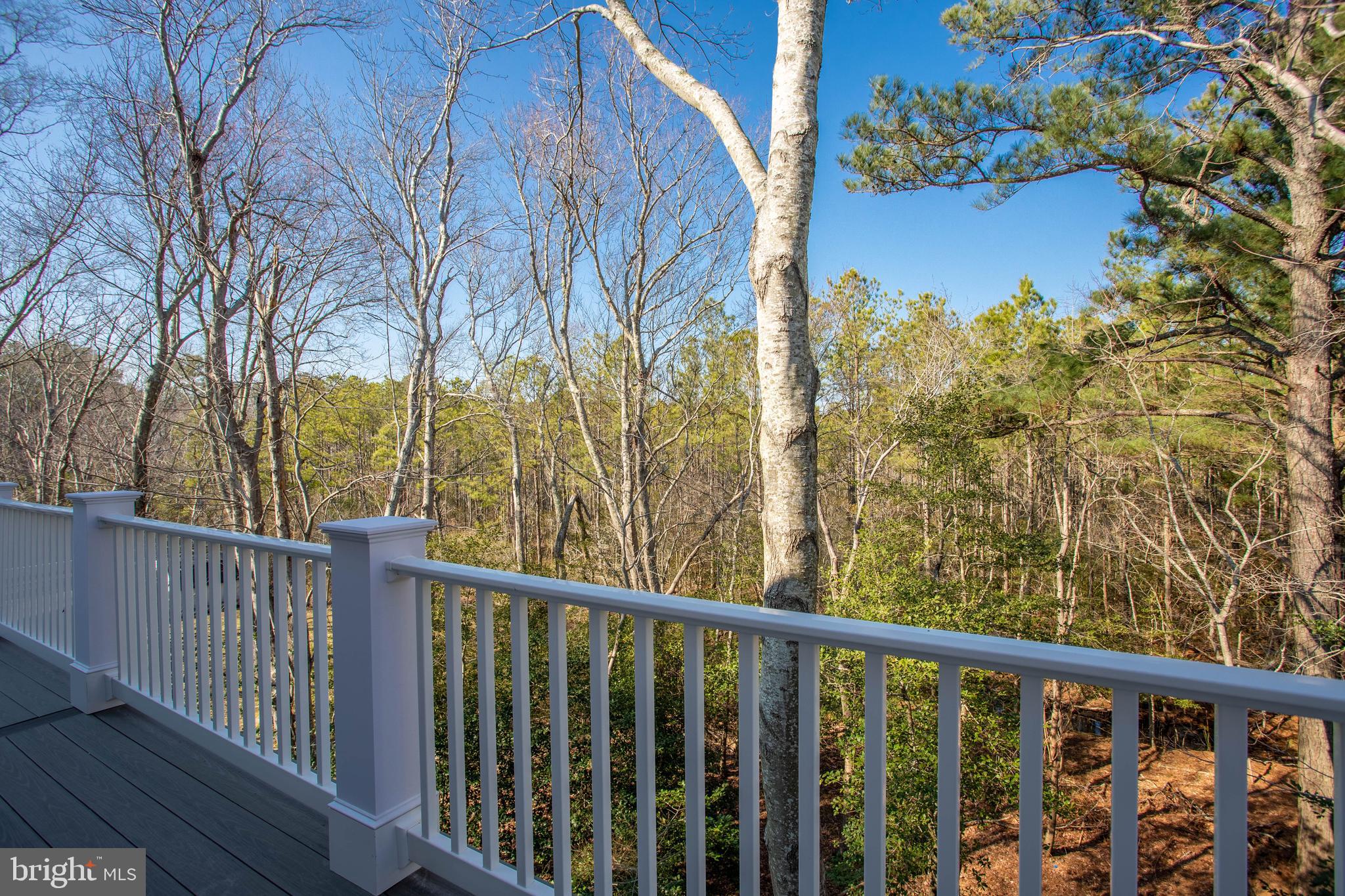 38685 Fred Hudson Road Bethany Beach, DE 19930 - Photo 33 of 63 3rd Floor Back Deck