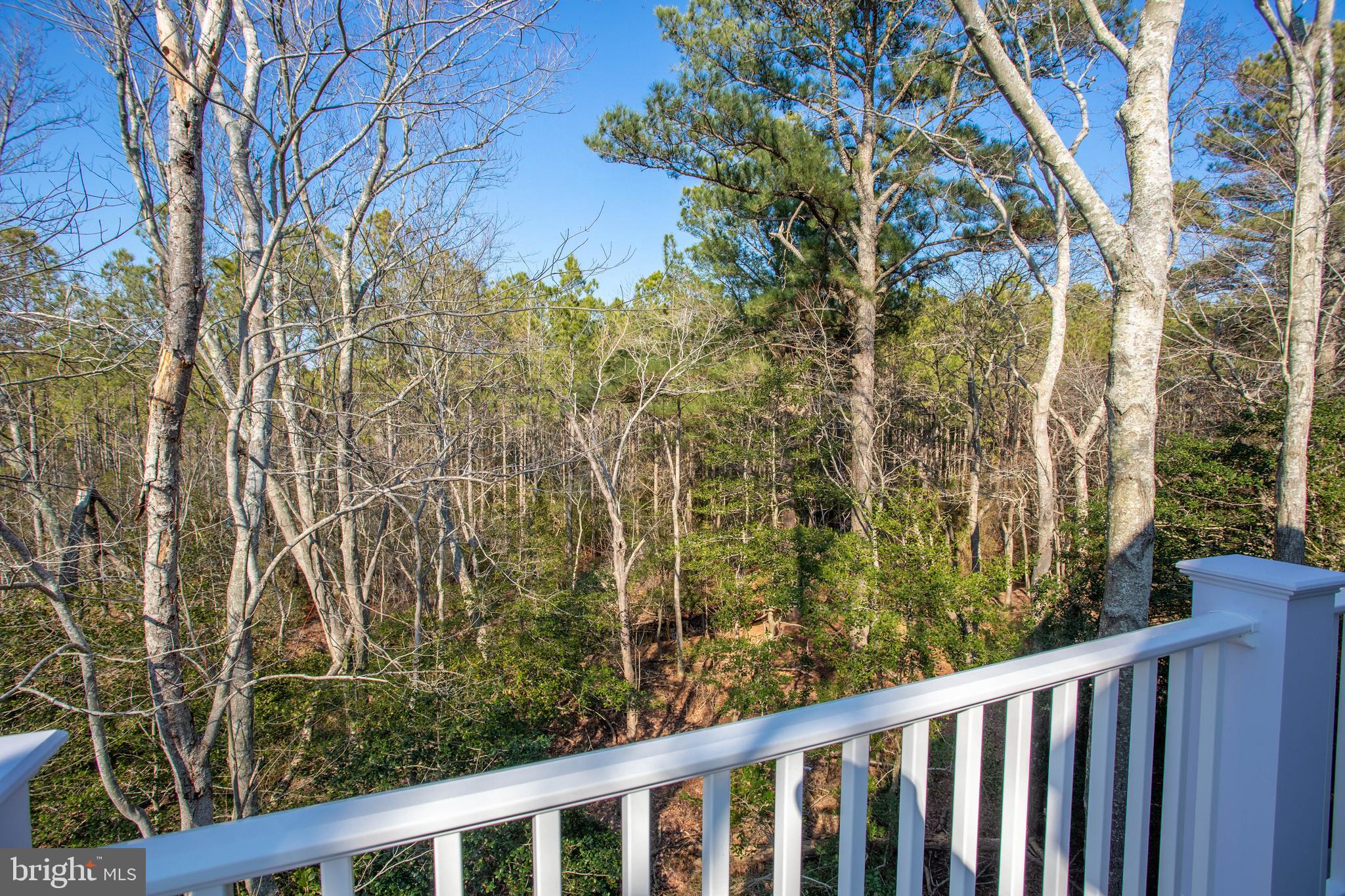 38685 Fred Hudson Road Bethany Beach, DE 19930 - Photo 34 of 63 3rd Floor Back Deck