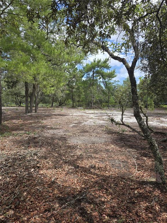 Northeast 81st Street Bronson, FL 32621 - Photo 2 of 13 a view of outdoor space with green space