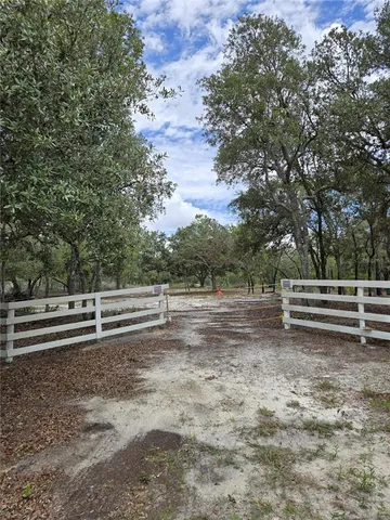 a view of outdoor space with trees all around
