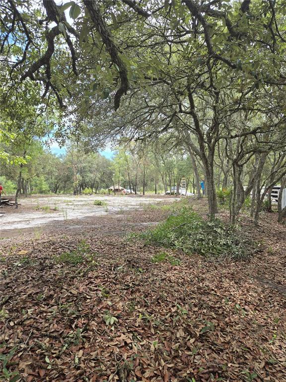 Northeast 81st Street Bronson, FL 32621 - Photo 8 of 13 a view of outdoor space with trees