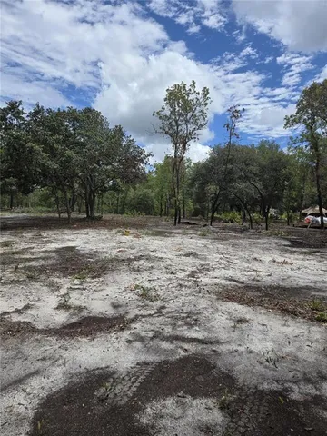 a view of outdoor space with trees all around