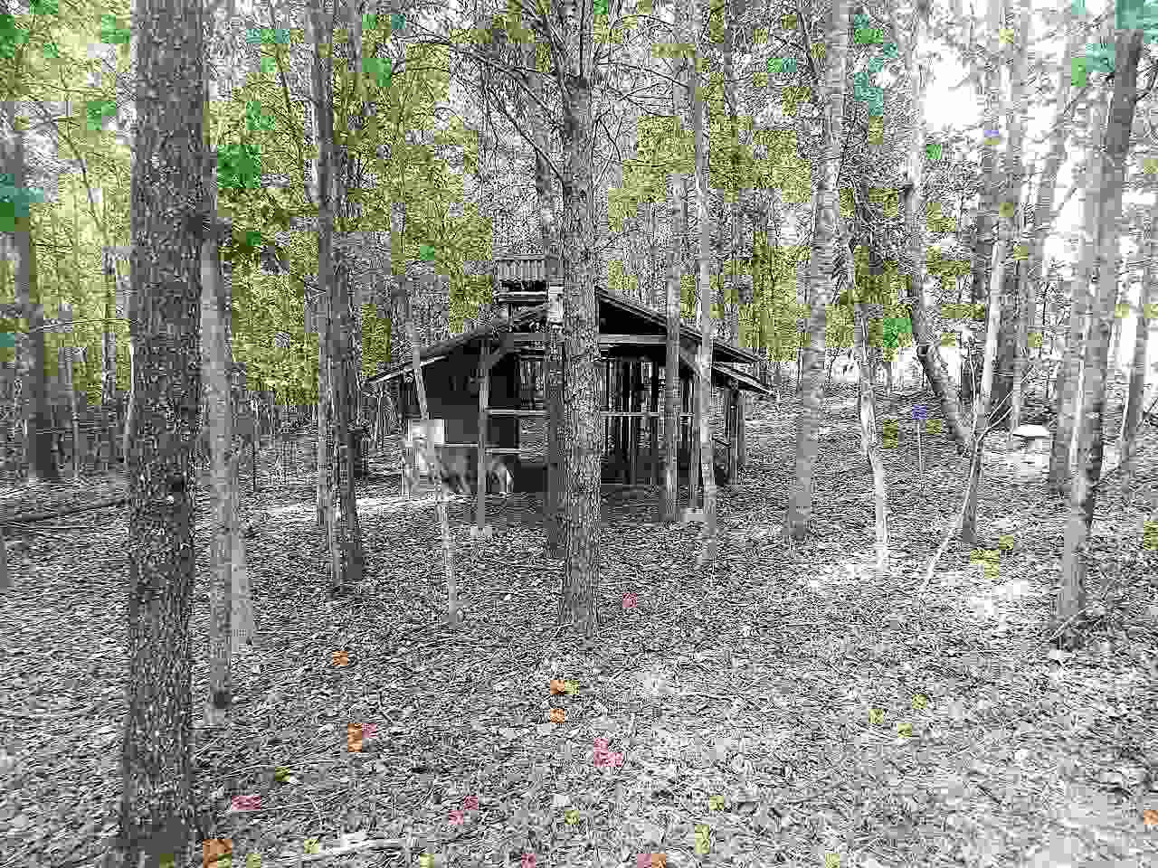 227 Ross Hill Road Gaffney, SC 29341 - Photo 24 of 25