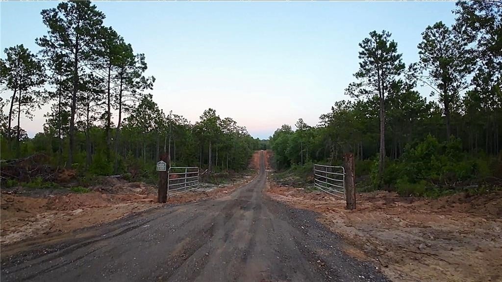 0 Sweetwater Branch Road Fort Mitchell, AL 36856 - Photo 4 of 20 Gallery Image 4