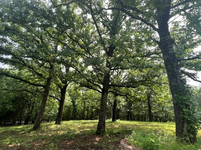 492 Richerson Road Denison, TX 75021 - Photo 2 of 29 a view of outdoor space