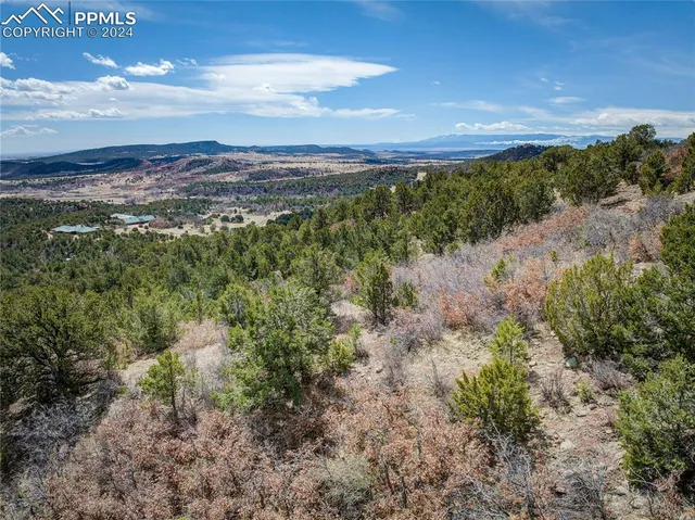 a view of a field with an ocean