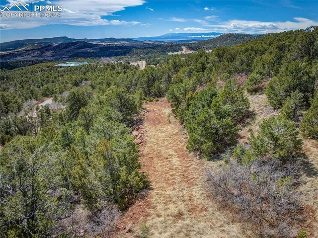 a view of a yard with an outdoor space