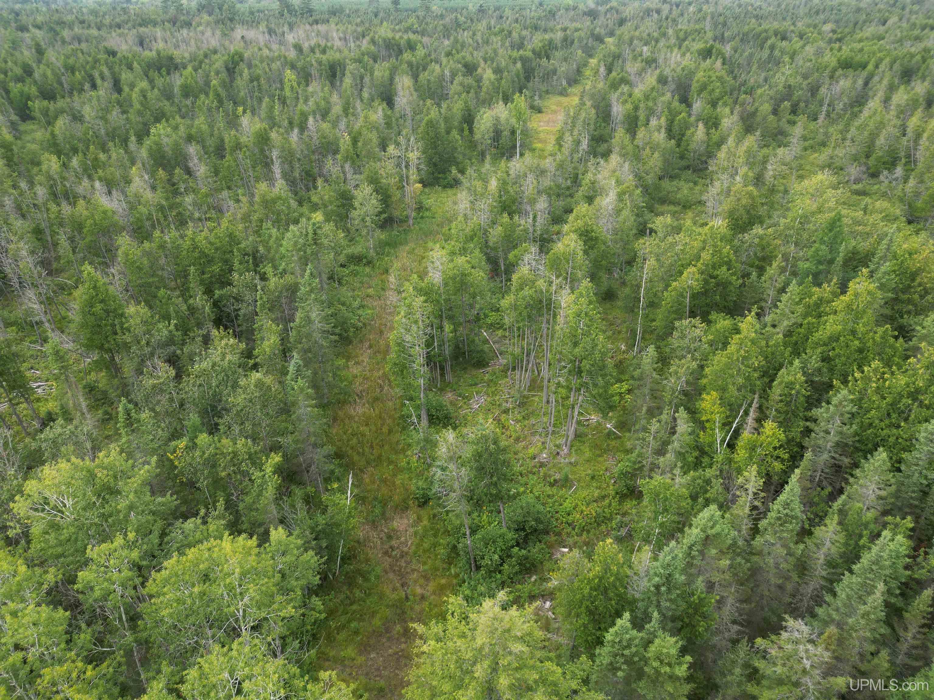 Tbd Tbd County Road, Unit 1 Cornell, MI 49818 - Photo 10 of 41