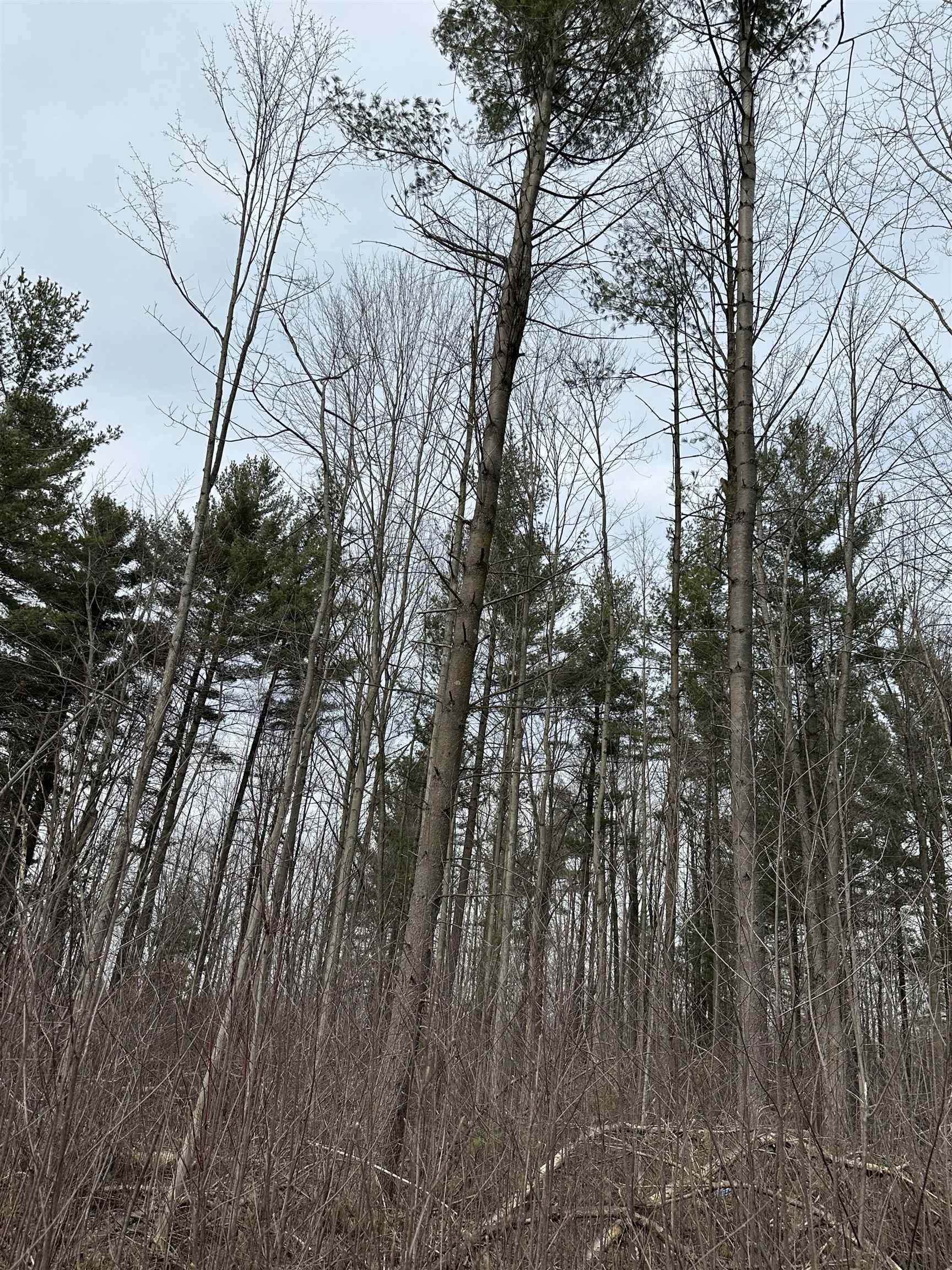 3064 Grove Road Standish, MI 48658 - Photo 11 of 22