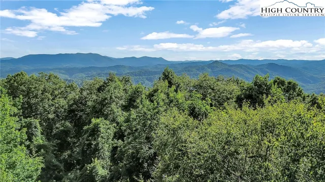 a view of a lush green forest with lush green forest