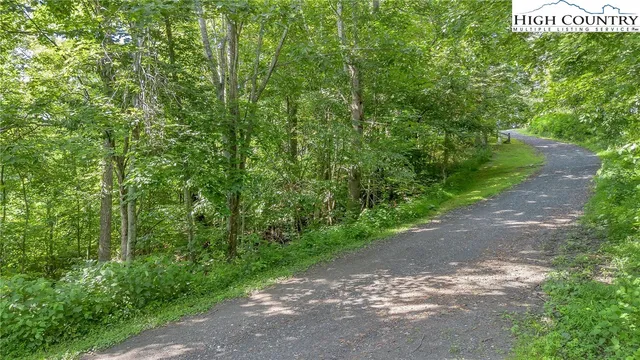 a view of a street with a tree