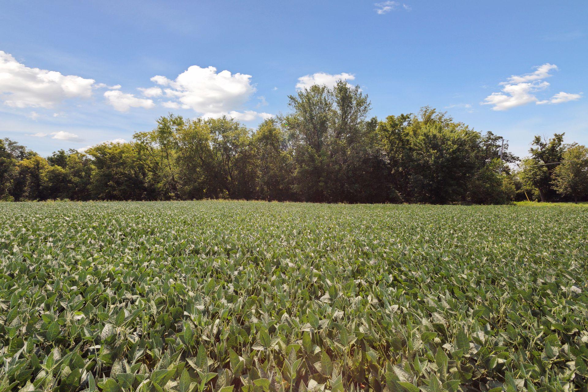 24-x4 Holy Name Drive Wayzata, MN 55391 - Photo 2 of 16