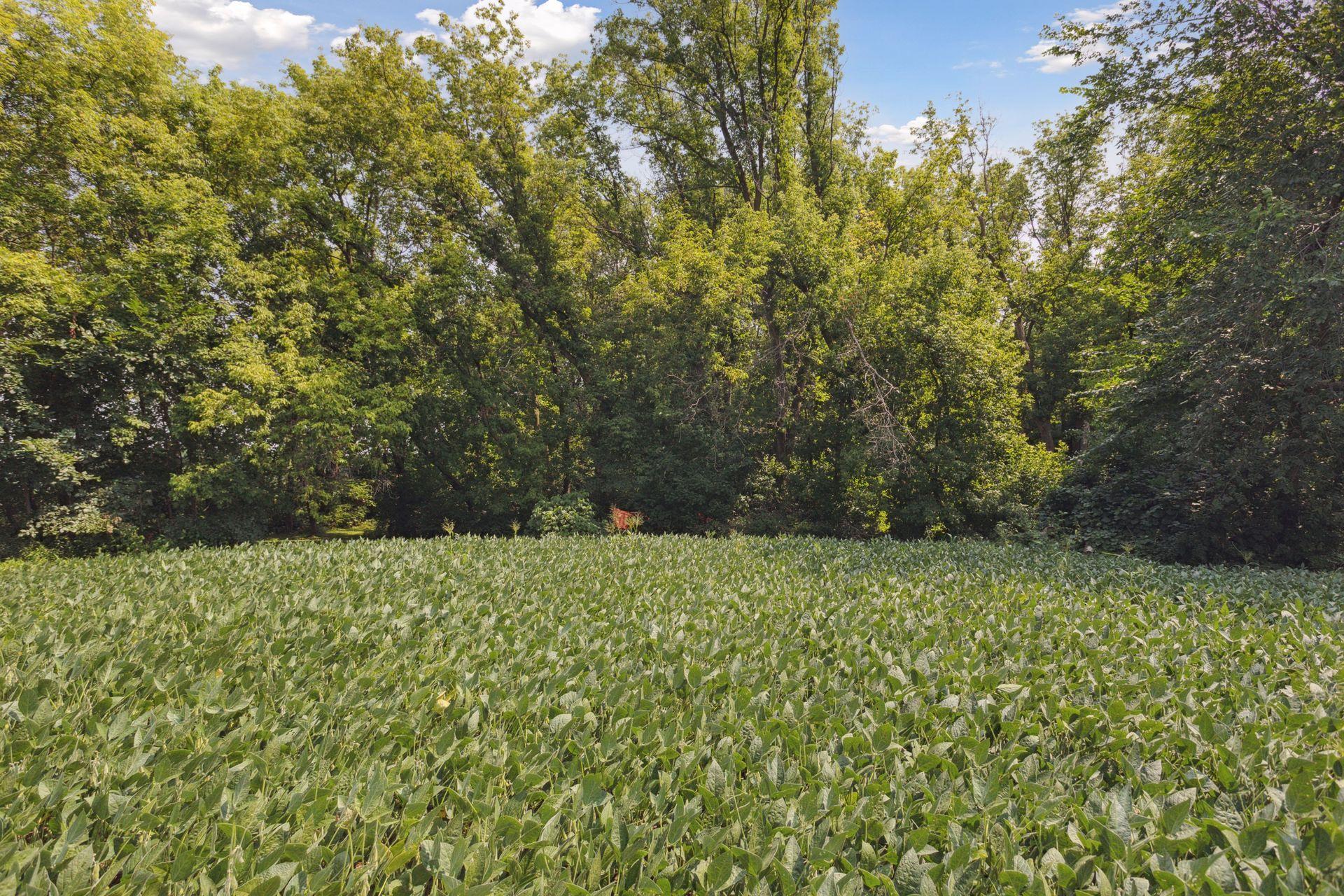 24-x4 Holy Name Drive Wayzata, MN 55391 - Photo 5 of 16