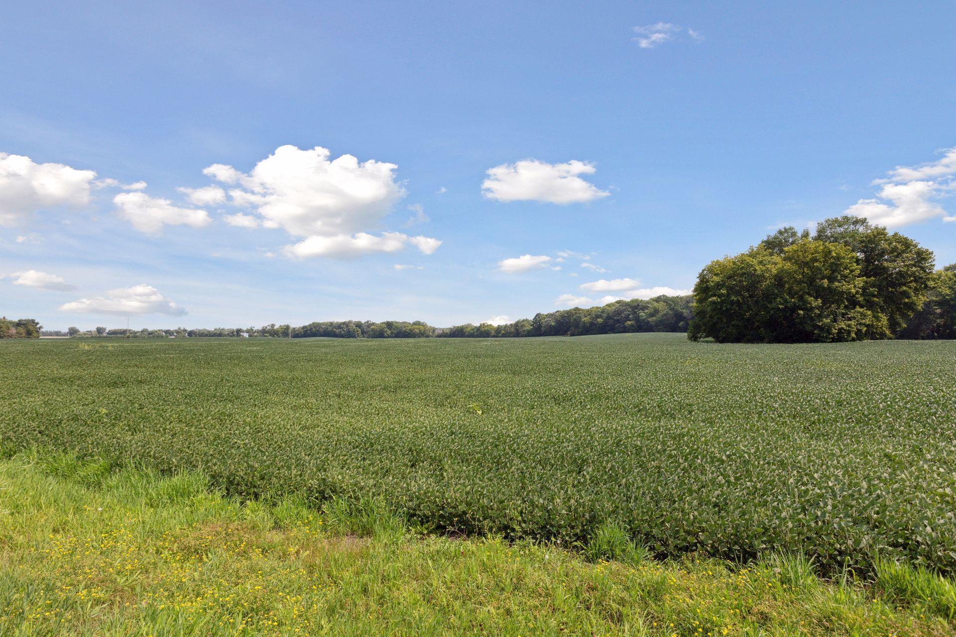 24-x4 Holy Name Drive Wayzata, MN 55391 - Photo 7 of 16