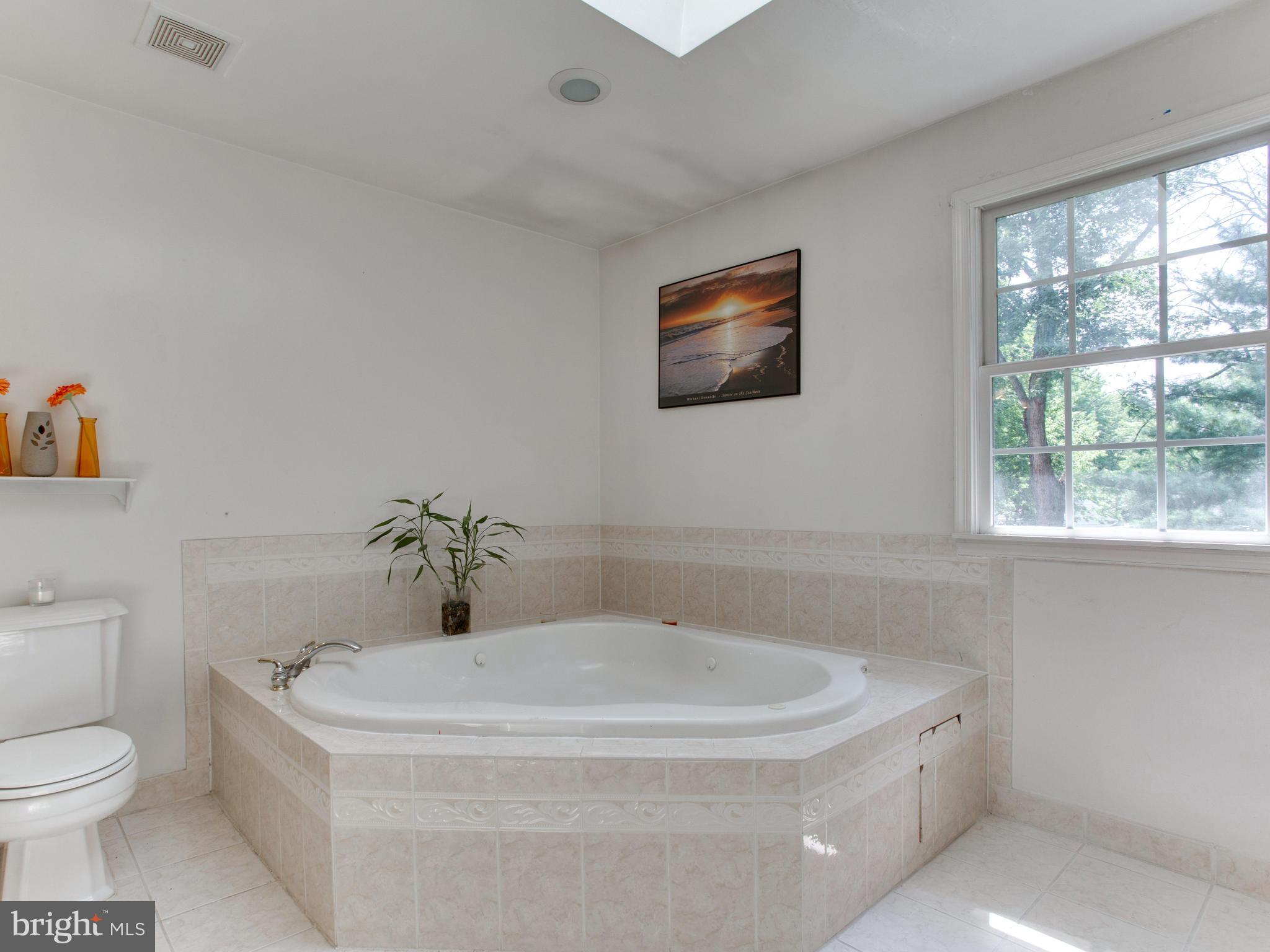 9819 Greenview Lane Manassas, VA 20109 - Photo 24 of 30 Bath (Master) jetted tub