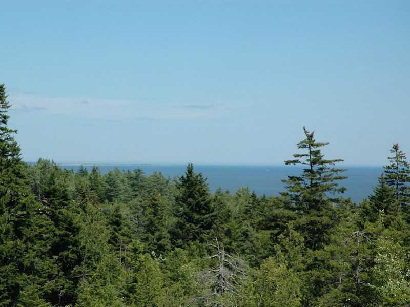 18 Upland Road Seal Harbor, ME 04675 - Photo 11 of 21 View.