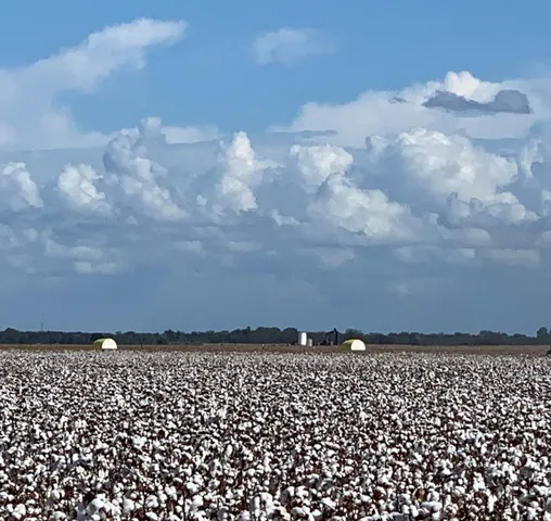 $725,000 | 12485 Sandy Point Road, Bryan, TX 77807