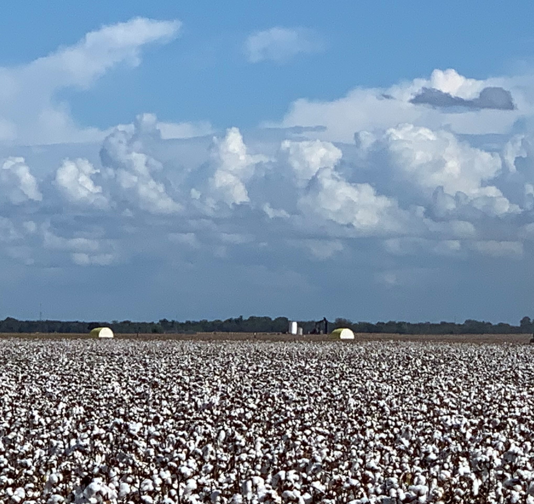 12485 Sandy Point Road Bryan, TX 77807 - Photo 13 of 14