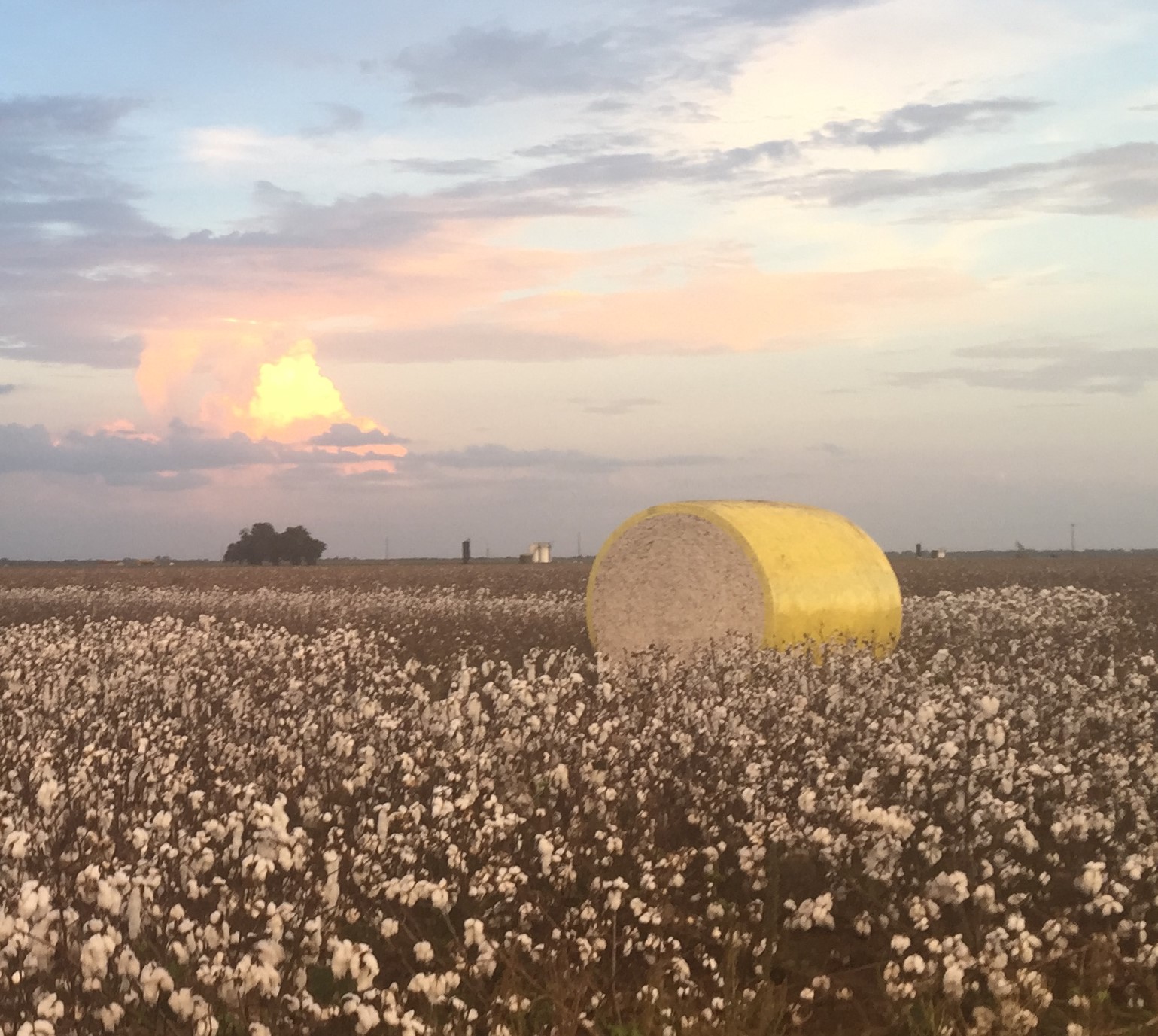 12485 Sandy Point Road Bryan, TX 77807 - Photo 14 of 14