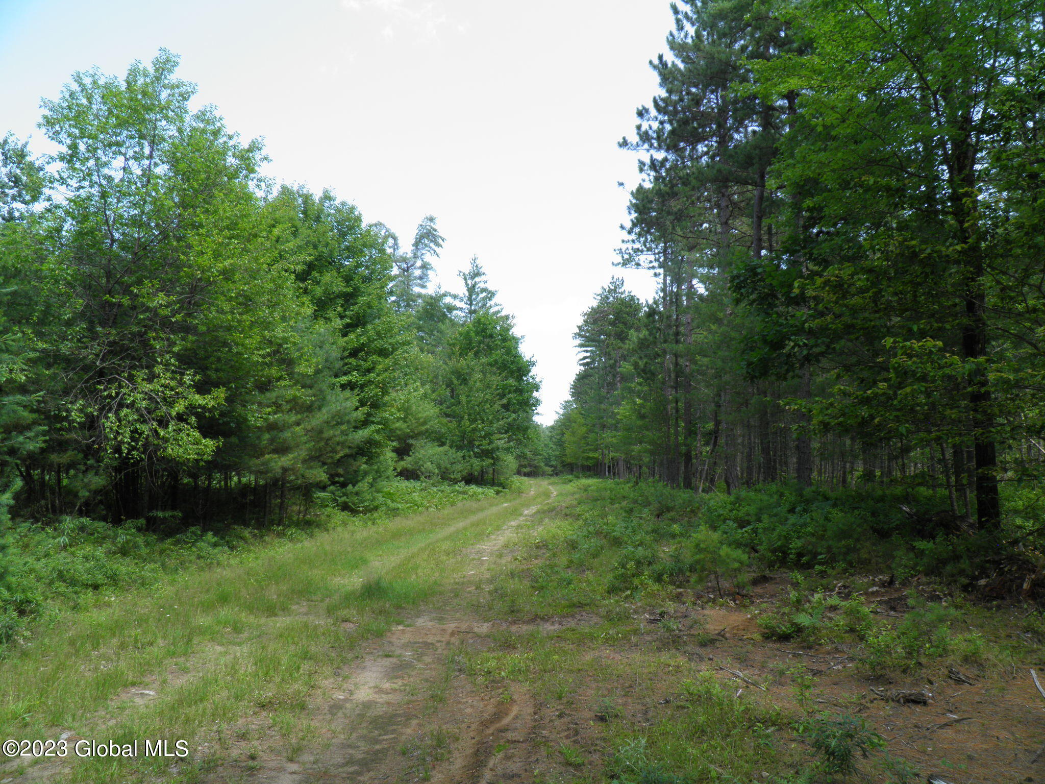 L4 Silver Lake Road Au Sable Forks, NY 12912 - Photo 21 of 71 22 Woods Road