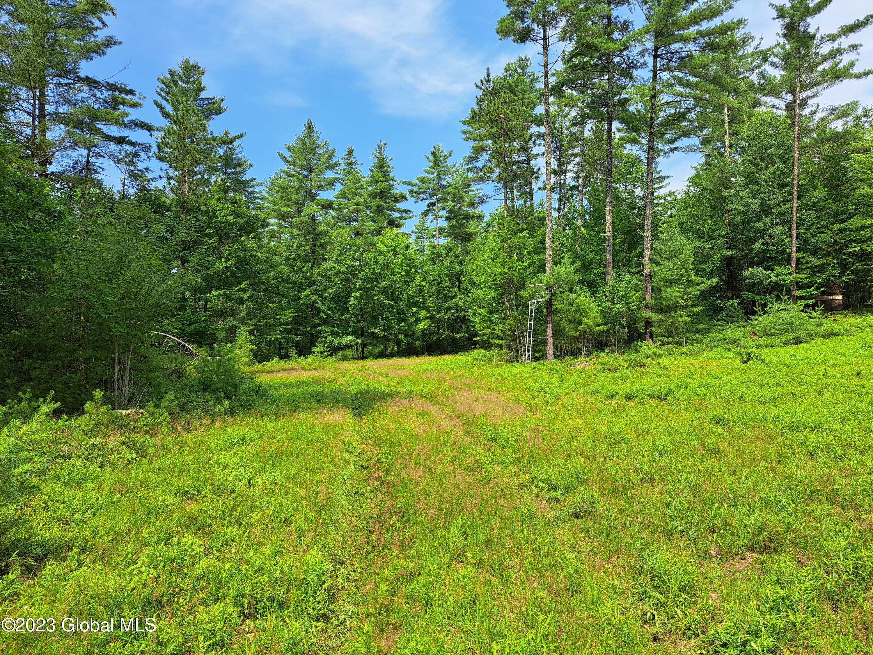 L4 Silver Lake Road Au Sable Forks, NY 12912 - Photo 31 of 71 32 Food Plot