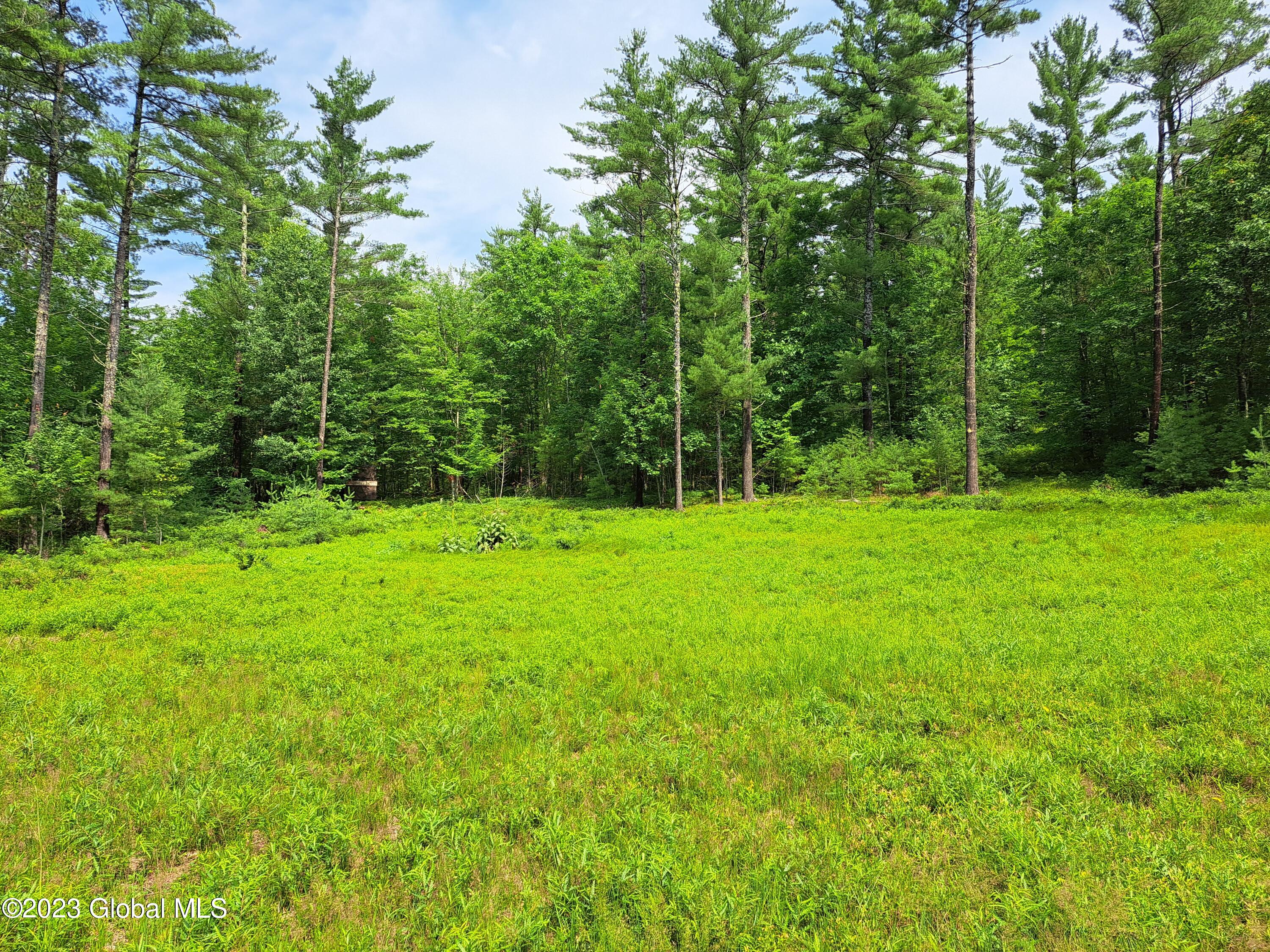 L4 Silver Lake Road Au Sable Forks, NY 12912 - Photo 36 of 71 34 Food Plot