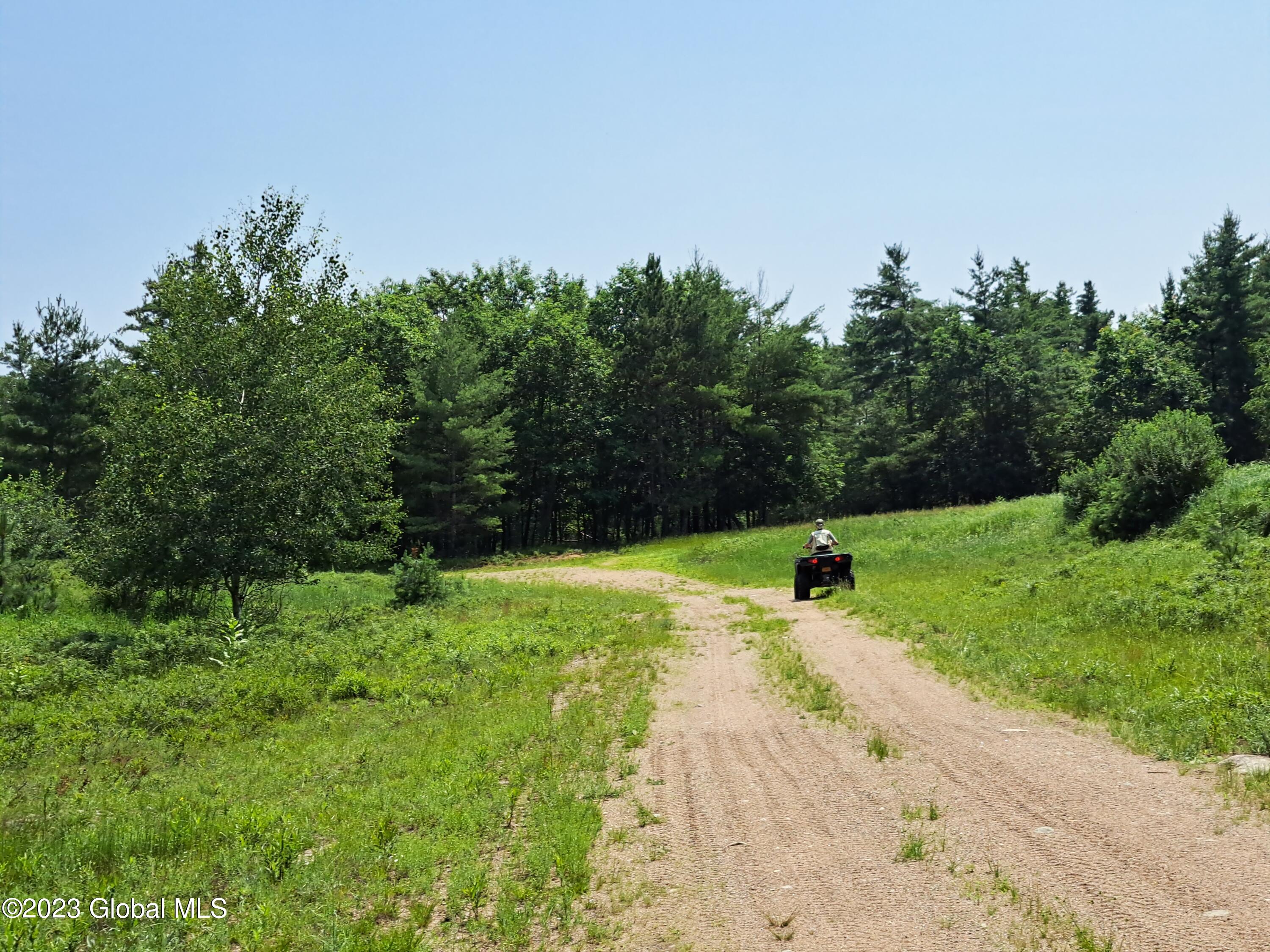 L4 Silver Lake Road Au Sable Forks, NY 12912 - Photo 40 of 71 38 Truck Road