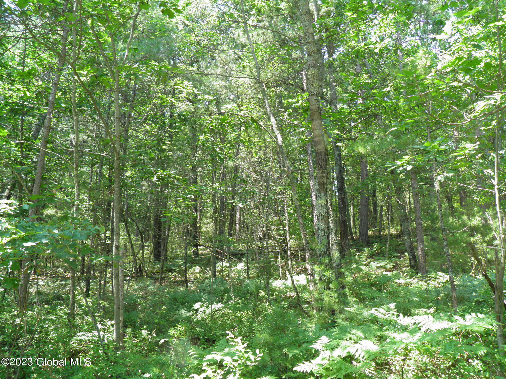 L4 Silver Lake Road Au Sable Forks, NY 12912 - Photo 10 of 71 11 Young Forest
