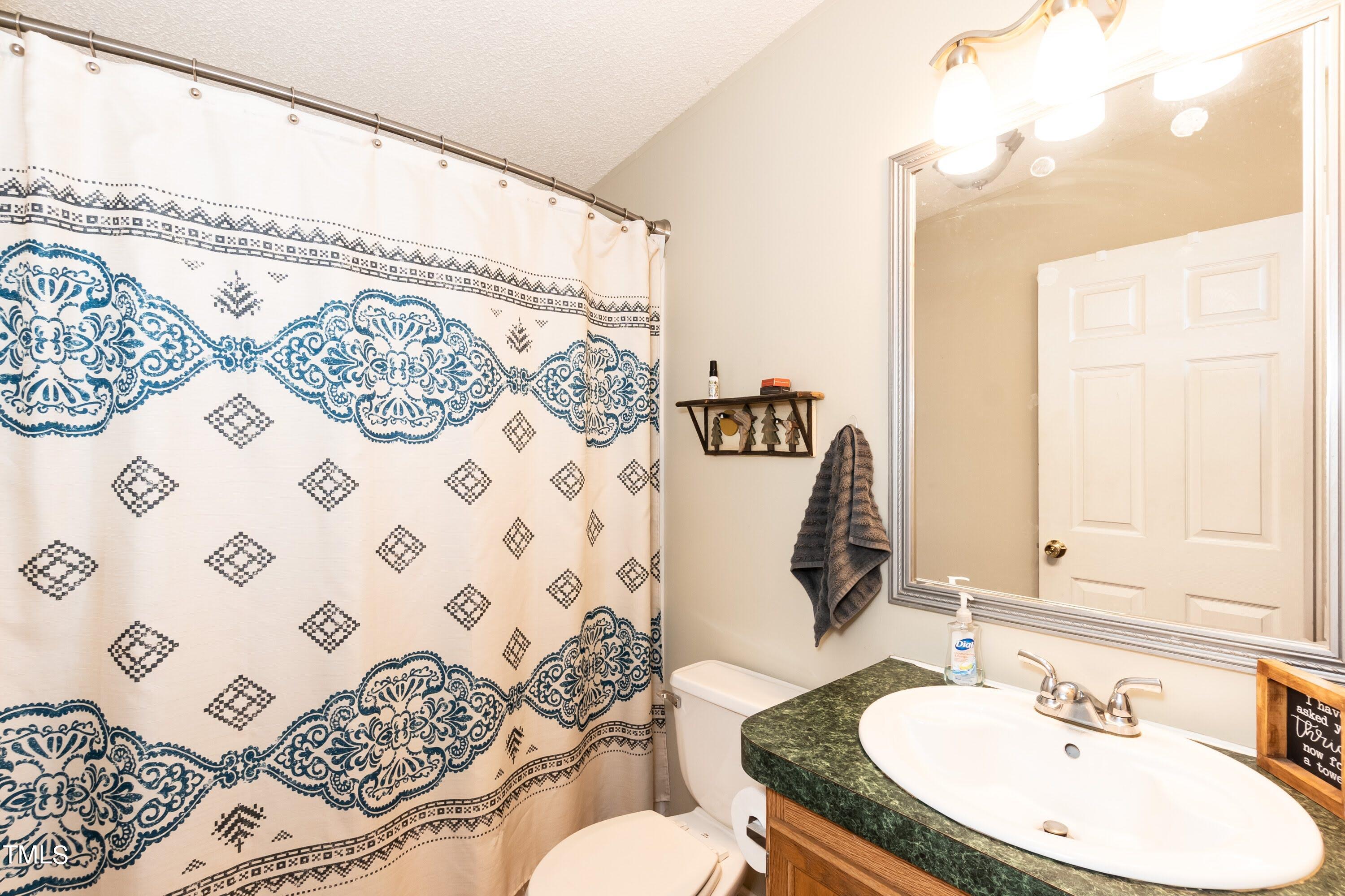 552 Locks Lane Rougemont, NC 27572 - Photo 29 of 45 a bathroom with a sink mirror and toilet