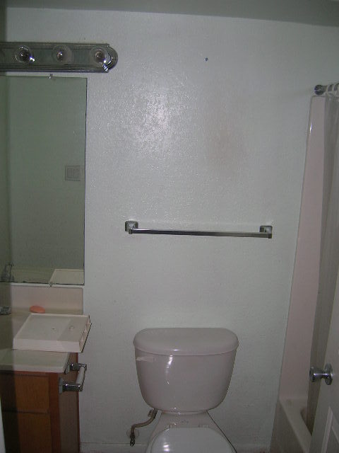 1336 East Mountain View Road, Unit 109 Phoenix, AZ 85020 - Photo 3 of 5 Master Bath