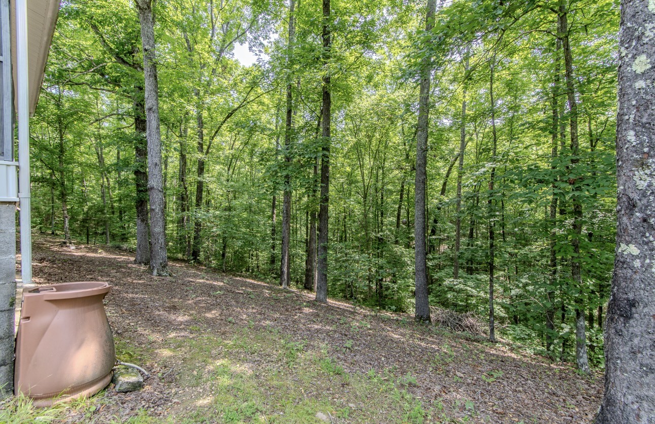 730 Carlew Road Waynesboro, TN 38485 - Photo 63 of 69 Gallery Image 63