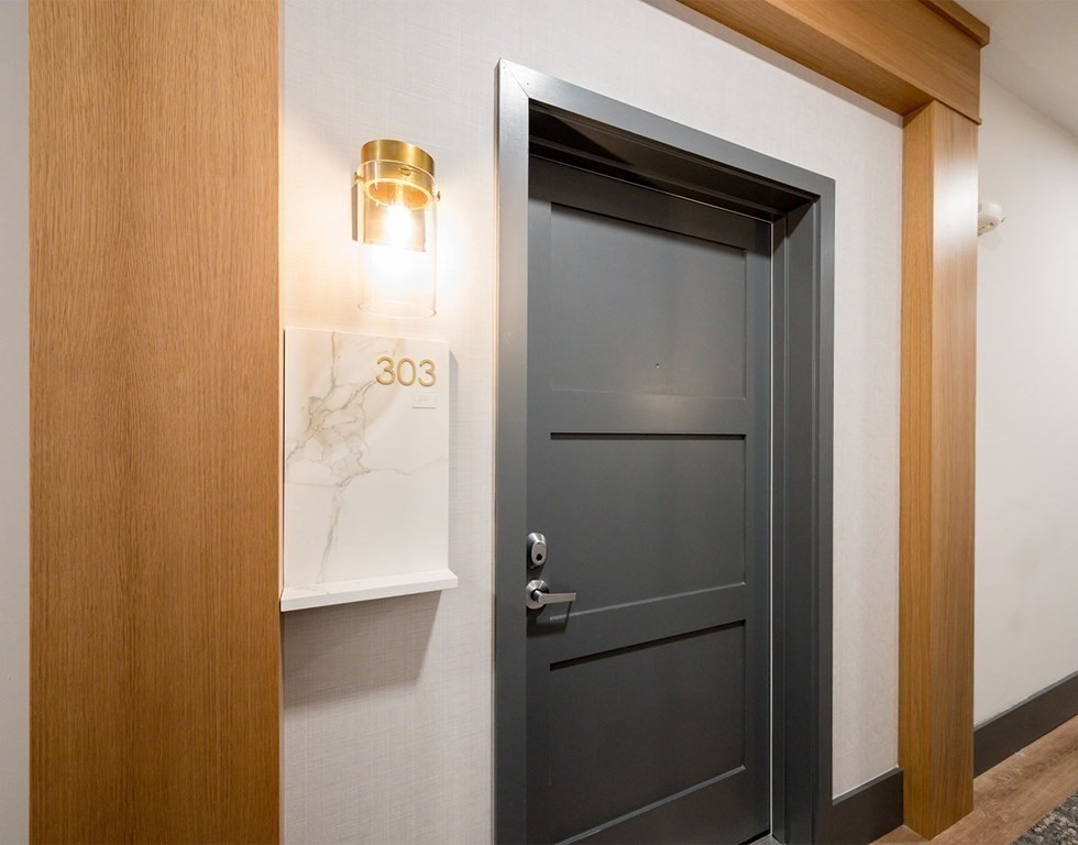 50 Coppersmith Way, Unit 107 Canton, MA 02021 - Photo 31 of 42 a view of walk in closet