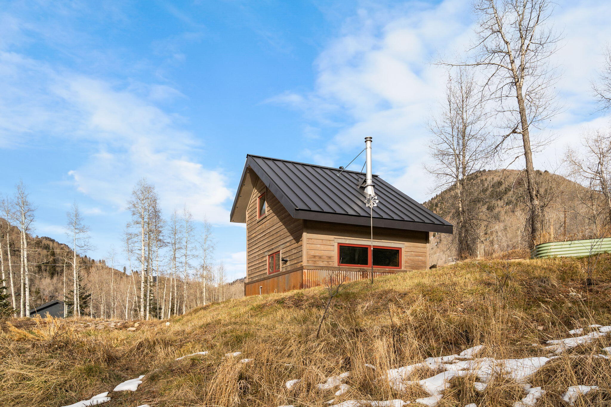 135 West Soda Street Rico, CO 81332 - Photo 23 of 47 a house with trees in the background